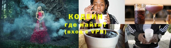 шишки Мегион