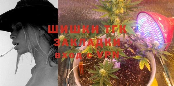 шишки Мегион