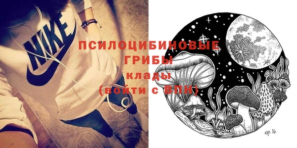 прущие крисы Медвежьегорск