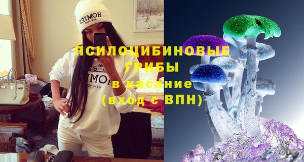 прущие крисы Медвежьегорск