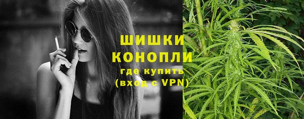 шишки Мегион
