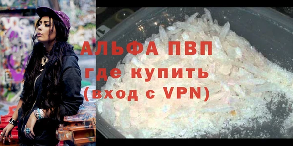 прущие крисы Медвежьегорск