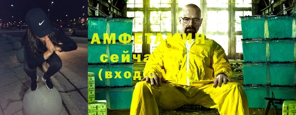 шишки Мегион