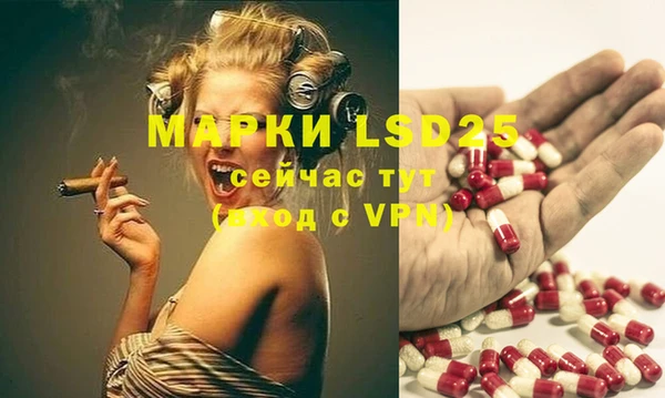 прущие крисы Медвежьегорск
