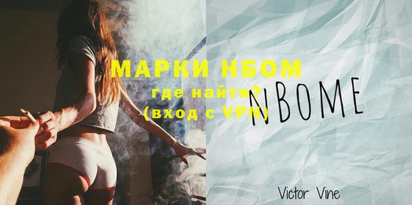 шишки Мегион