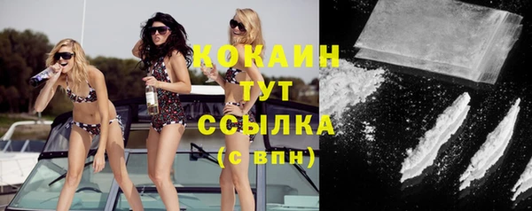 шишки Мегион