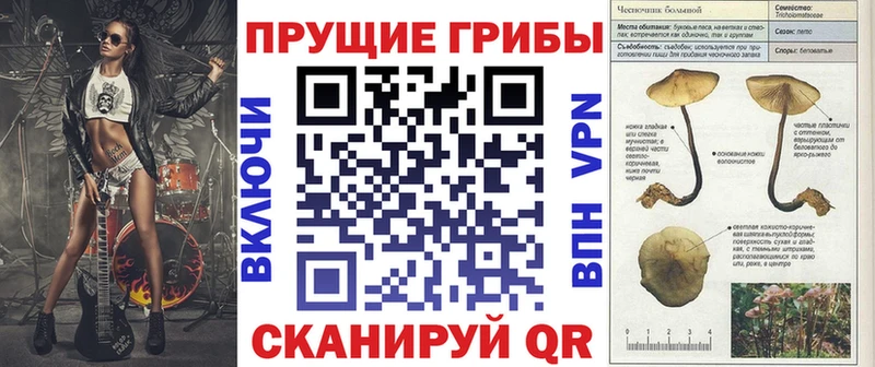 Купить закладки  Шахунья  Галлюциногенные грибы прущие грибы 