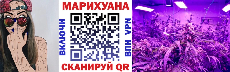Шишки марихуана конопля Купить закладки Шахунья